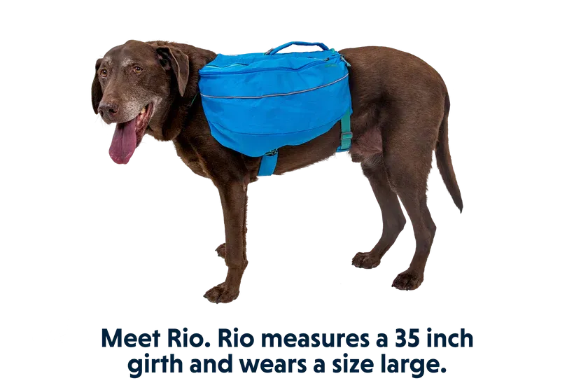 Approach™ Dog Backpack