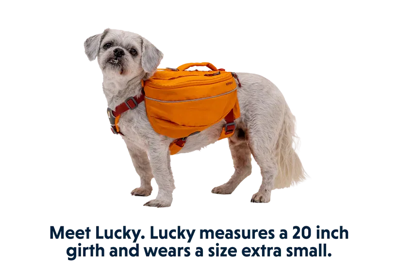 Approach™ Dog Backpack