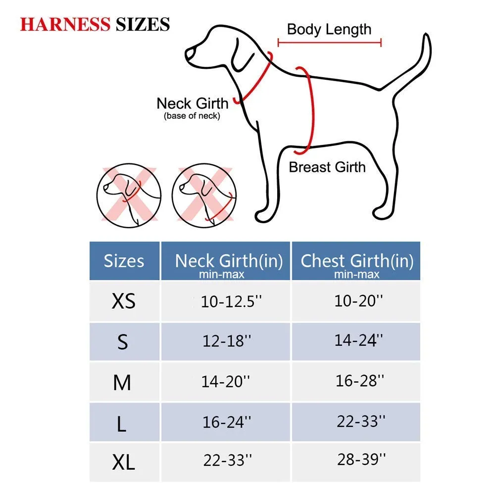 Dog Harness - Blue