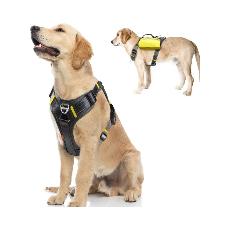 FIDA No Pull Harness