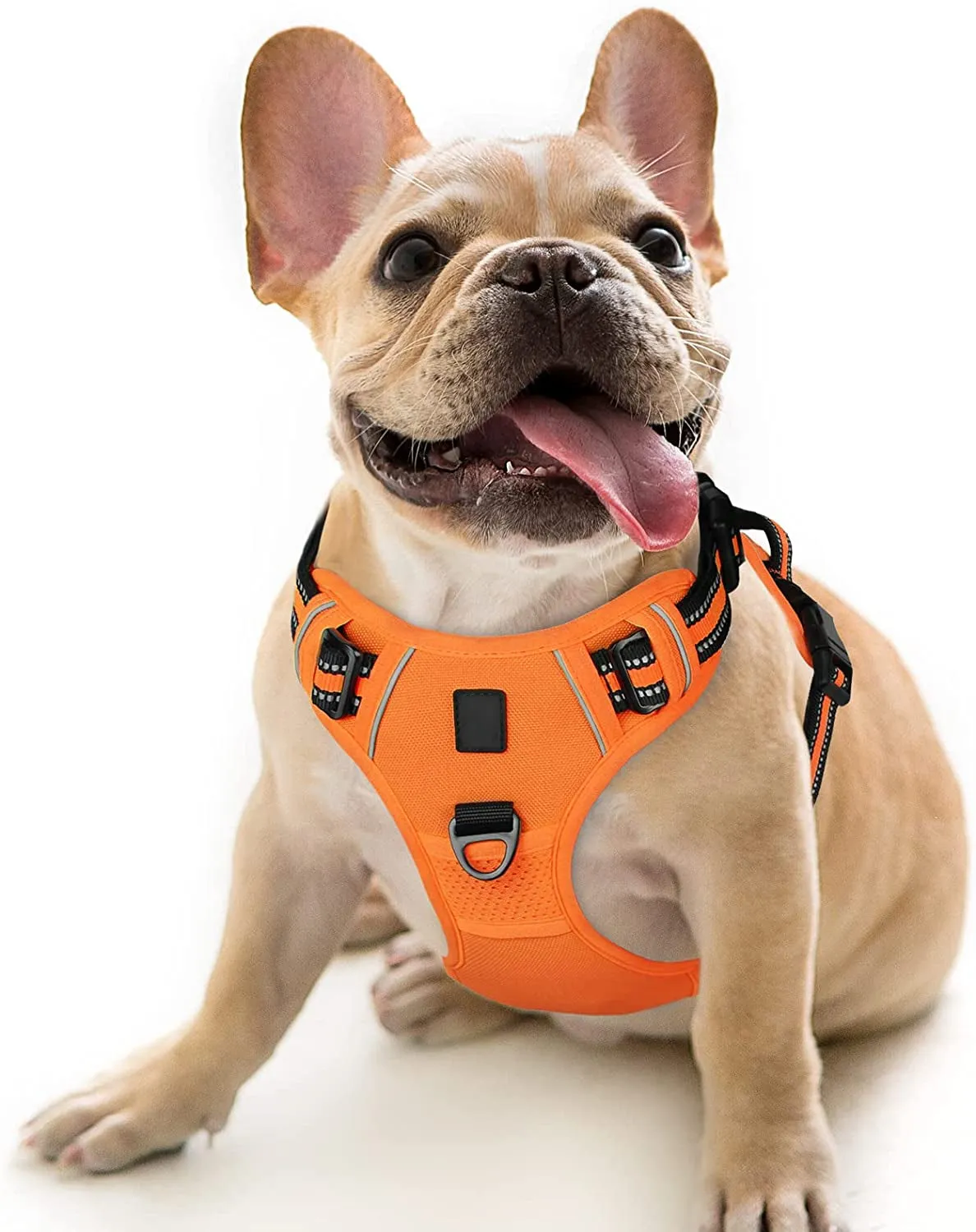 No Pull Harness for Dogs