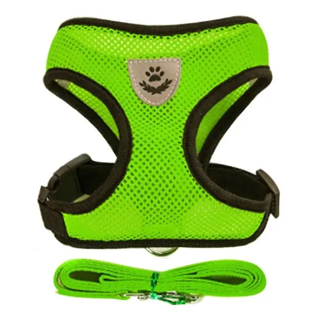 Pet Harness Vest with Lead