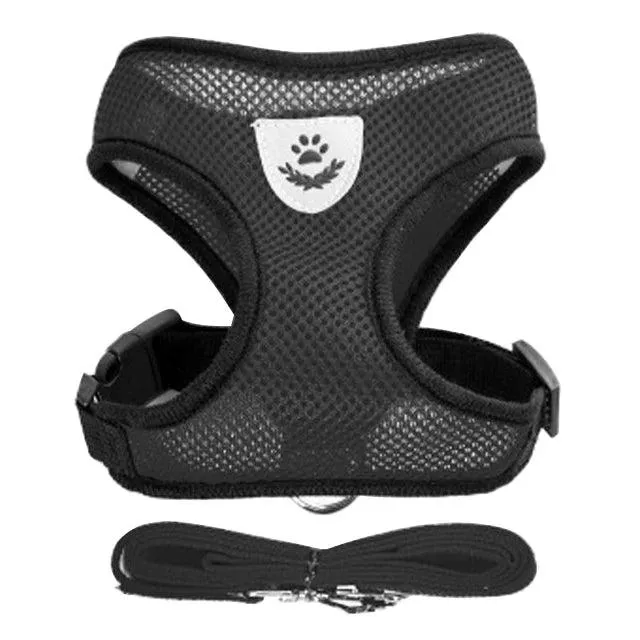 Pet Harness Vest with Lead