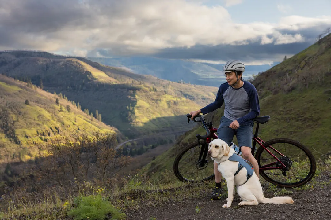 Ruffwear Dog Harness, Web Master (New Colours)