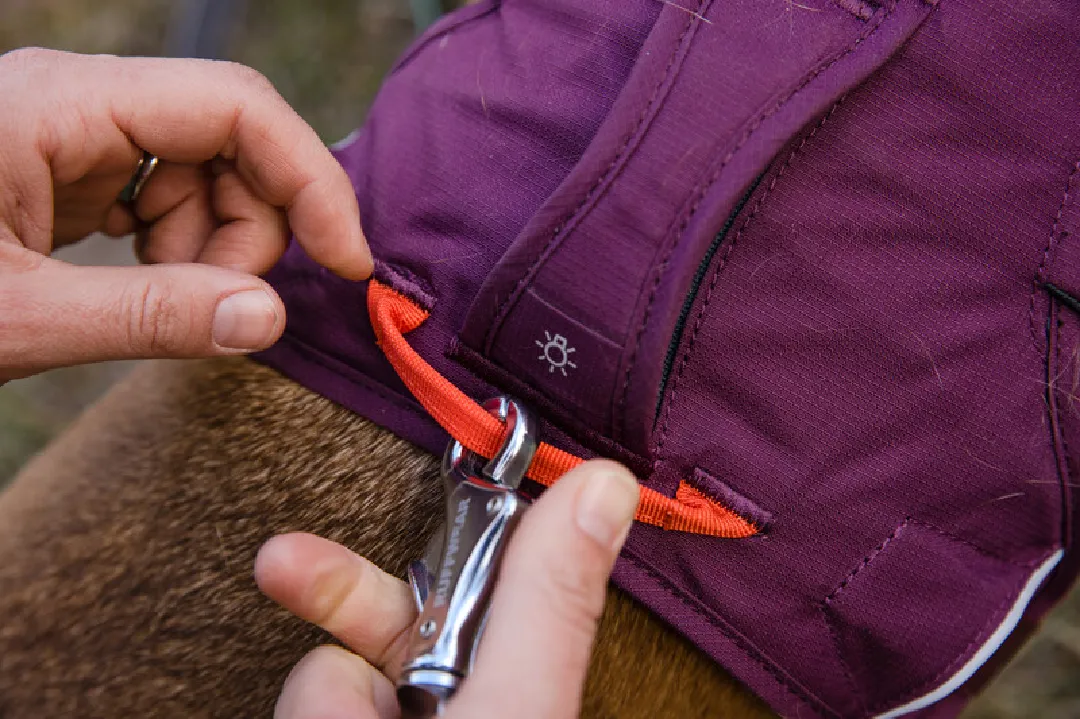 Ruffwear Dog Harness, Web Master (New Colours)