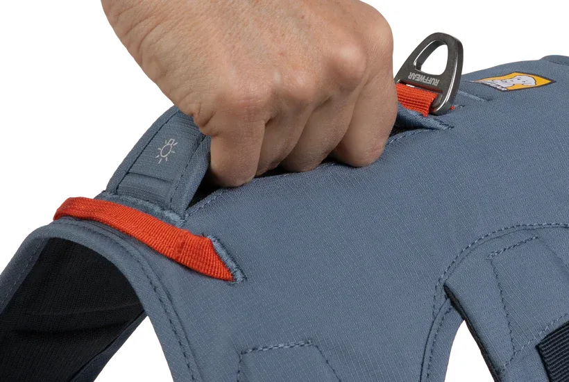 Ruffwear Dog Harness, Web Master (New Colours)
