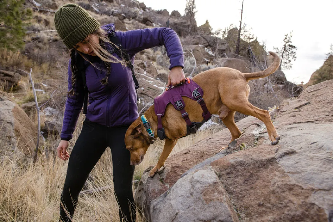 Ruffwear Dog Harness, Web Master (New Colours)