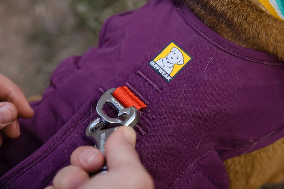 Ruffwear Dog Harness, Web Master (New Colours)