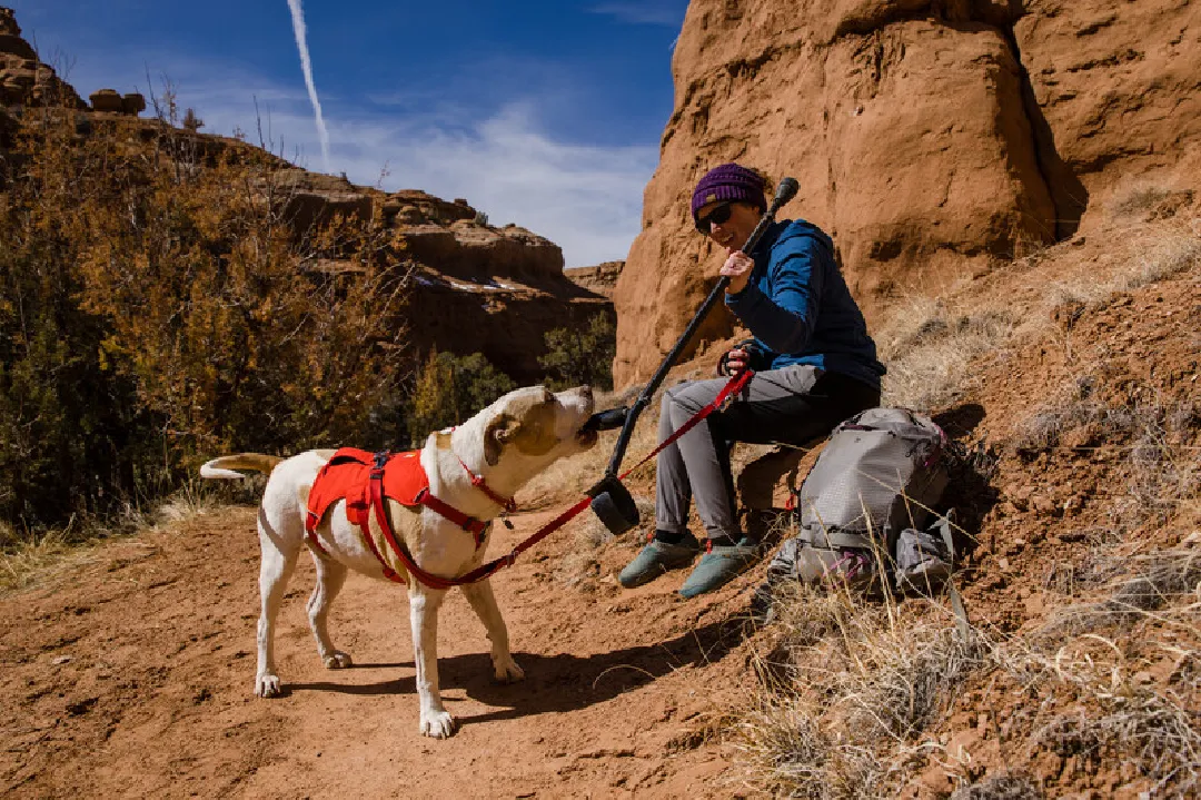 Ruffwear Dog Harness, Web Master (New Colours)