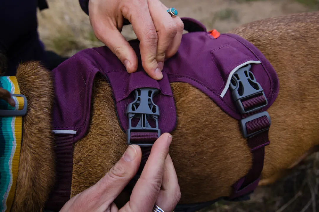 Ruffwear Dog Harness, Web Master (New Colours)